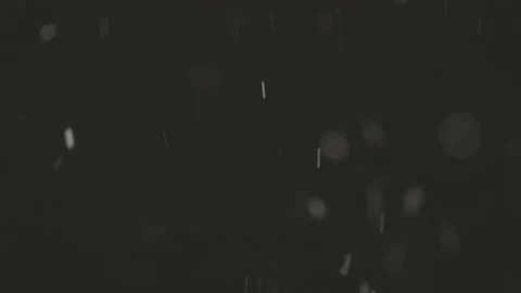 Beautiful Real falling snow isolated on black background in 4K, ProRes 422 Stock Footage 148735611