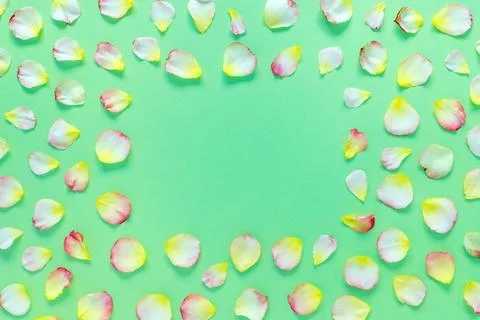 Beautiful rectangular pattern of pink and yellow rose petals and leaves on gr Stock Photos