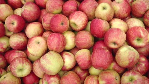 Beautiful red apples just picked from tree Video stock 307964670