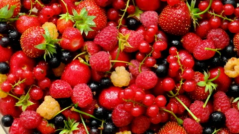 Beautiful red berries on the table. Selective focus. Stock Footage 224716788