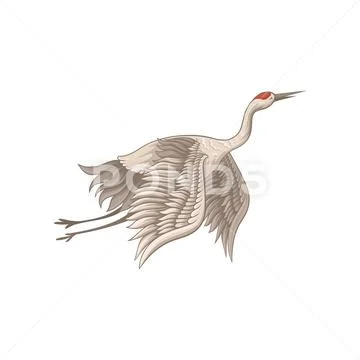 Beautiful red-crowned crane in flying action. Bird with beige feathers, long Stock Illustration