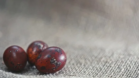 Beautiful red Easter eggs Stock Footage 73447975