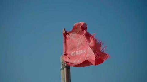 Beautiful red flag blowing in the wind, close-up Stock Footage 225309669
