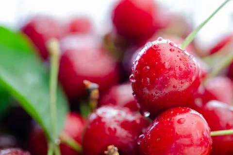 Beautiful red fresh cherry macro photo background Stock Photos