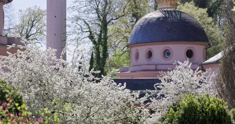 Beautiful Red Mosque in Germany during Spring With Cherry Blossom Stock Footage 183930564