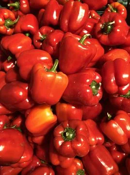 Beautiful Red Pepper in large quantities. Stock Photos