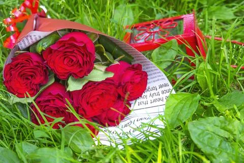 Beautiful red rose bouquet. Noble red roses with bright bokeh Stock Photos