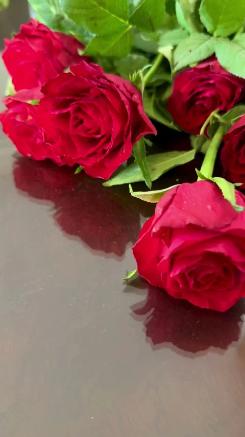 Beautiful red roses lying on a dark reflective table Stock Footage 331974948