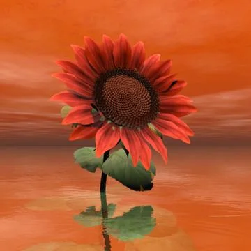 Beautiful red sunflower - 3D render Stock Illustration