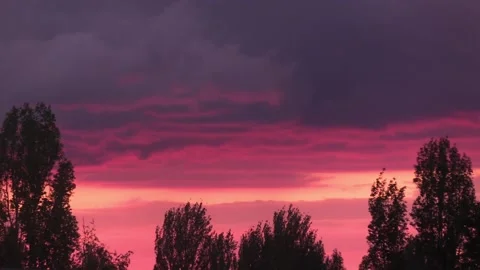 Beautiful red sunset and tree tops Видео 154040972