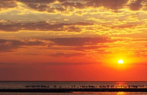 Beautiful red sunset, dark clouds and ocean on the horizon Stock Photos