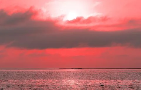 Beautiful red sunset, dark clouds and atlantic ocean on the horizon Stock Photos