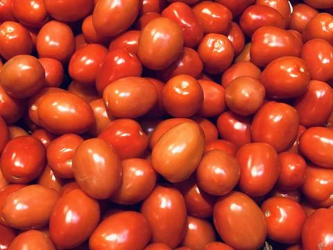 Beautiful red tomatoes in large quantities. Stock Photos