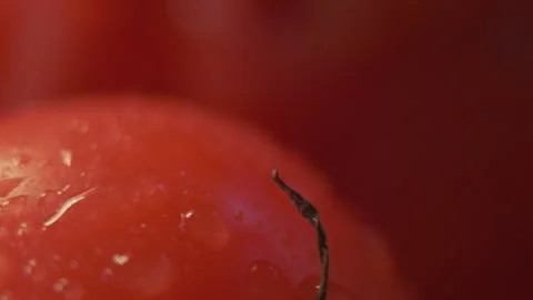 Beautiful red tomatoes, water drops macro video. Fresh wet healthy tomato for 스톡 동영상 147934276