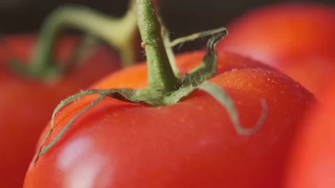 Beautiful red tomatoes, water drops macro video. Fresh wet healthy tomato for Stock-Footage 147934616