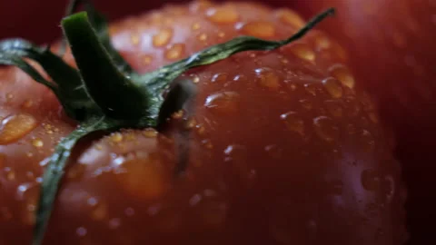 Beautiful red tomatoes, water drops macro video. Fresh wet healthy tomato for 動画素材 148692559