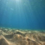 Beautiful Reflecting Sun Rays And Sandy Ground Of The Ocean Stock Footage
