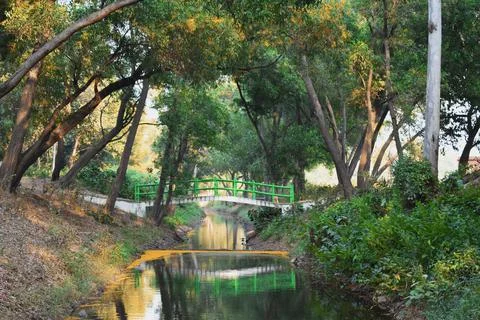 Beautiful reflection of a bridge connecting over the river in between forest Stock Photos