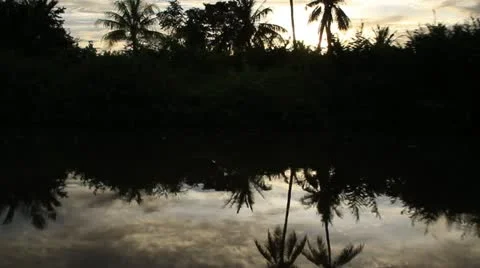 Beautiful reflection of clouds and tropical trees on river Video stock 18191877
