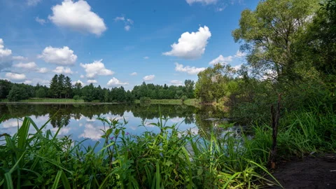 Beautiful reflection of clouds in water surface over lake or pond in the fairy Stock Footage 247895067