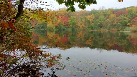 Beautiful reflection on Cranberry Lake Stock Footage 141884229