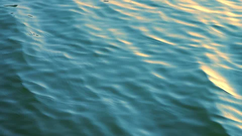 Beautiful reflection golden sun light on blue water, rippled waves. 스톡 동영상 264034422