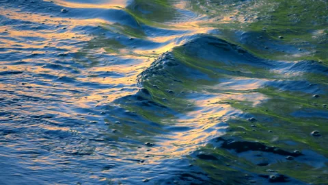 Beautiful reflection golden sun light on blue water, rippled waves. Stock Footage 264366542