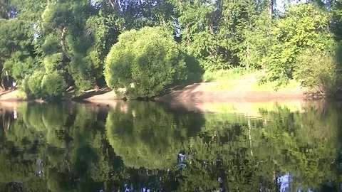 Beautiful reflection of a green forest in a lake Stock Footage 78675620