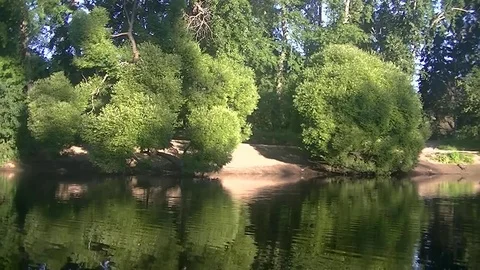 Beautiful reflection of a green forest in a lake Stock Footage 78676796