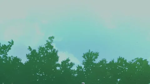 Beautiful reflection of green tree branches and blue sky with clouds on a s.. Stock Footage 337583368