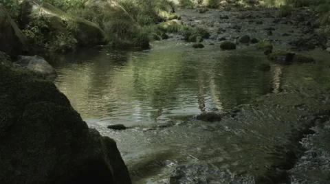 Beautiful reflection old river, non color graded Full HD (1920x1080) Stock-Footage 41651947
