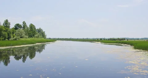 Beautiful reflection of a sky and trees on rippling surface of a lake in nature 스톡 동영상 263152054