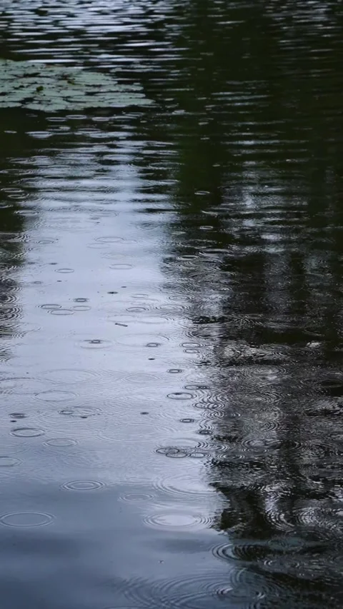 A beautiful reflection of the sky and trees in the water, with gentle rippl.. Stock Footage 343136299