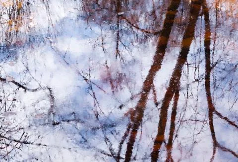 Beautiful reflection of tree branches in the water in early spring in the park Stock Photos