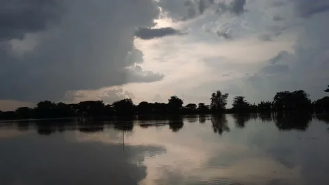 Beautiful Reflection Tree In Lake. Vídeo Stock 167471460