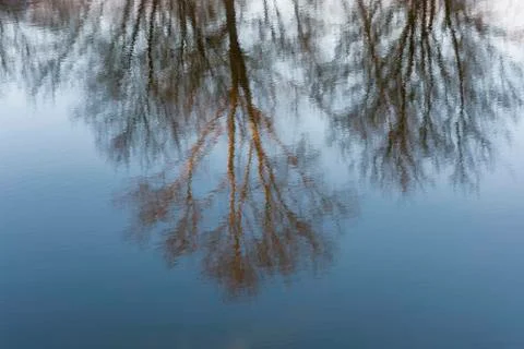 Beautiful reflection of trees in the blue mirror smooth surface of the river. Stock Photos
