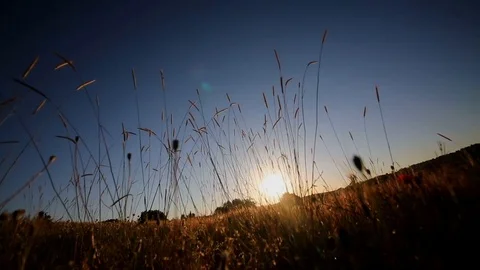 Beautiful reflections of nature Stock Footage 121147417