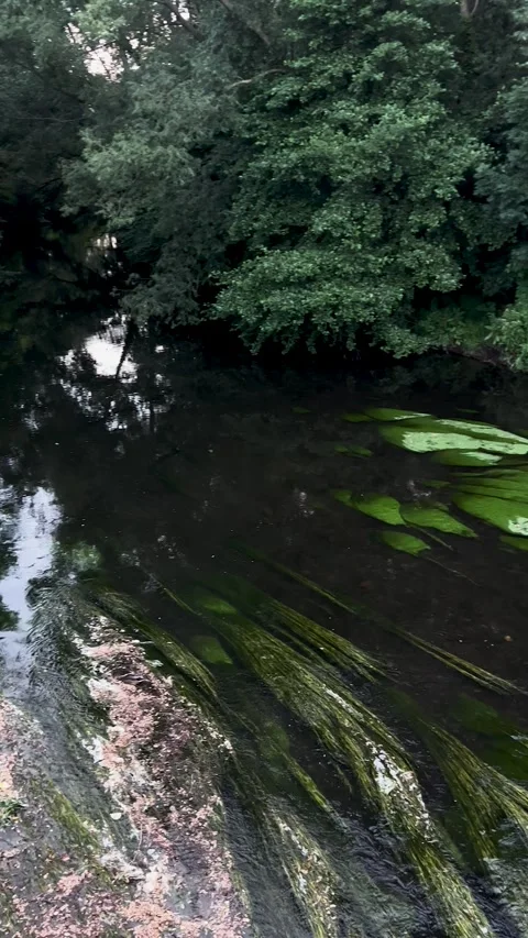 Beautiful reflections in a tranquil river landscape surrounded by natural wonder Stock Footage 303892838