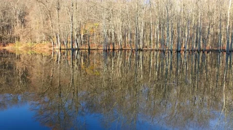 Beautiful reflections of trees in a lake. 4K. UHD. Stock Footage 44231479