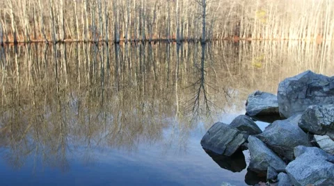 Beautiful reflections of trees in a lake. 4K. UHD. Stockbeeldmateriaal 44231483
