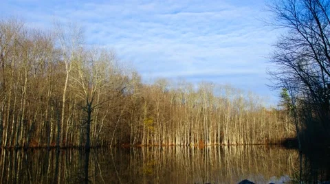 Beautiful reflections of trees in a lake. 4K. UHD. Stock Footage 44231520