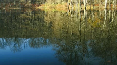Beautiful reflections of trees in a lake. 4K. UHD. Stock Footage 44231523