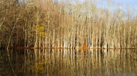 Beautiful reflections of trees in a lake. 4K. UHD. Stock Footage 44231532