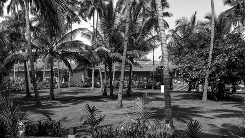 Beautiful resort in Goa Stock Photos