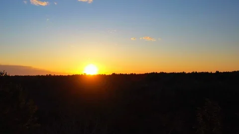 Beautiful reverse drone shot track atop pine trees at sunset Stock Footage 128714873