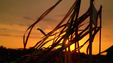 Beautiful ribbon at sunset in the wind 스톡 동영상 58167420