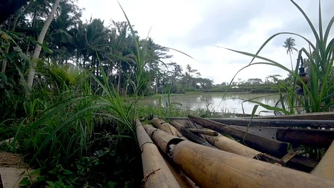 Beautiful rice field in Bali, Stock Footage 109693211
