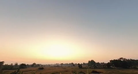 The Beautiful rice field Stock Footage 282334347