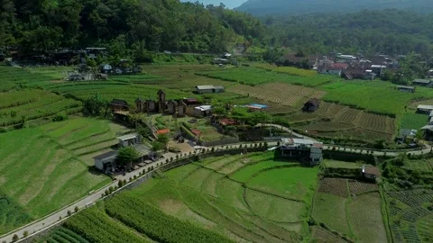 Beautiful rice terrace pattern in Trawas Mojokerto August 2 2026 Stock Footage 341812157