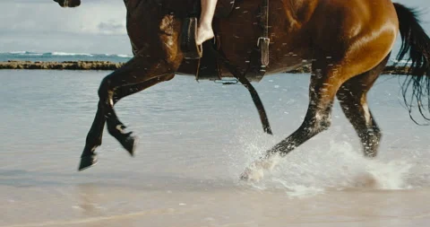 Beautiful Ride by the Ocean Stock Footage 153179018